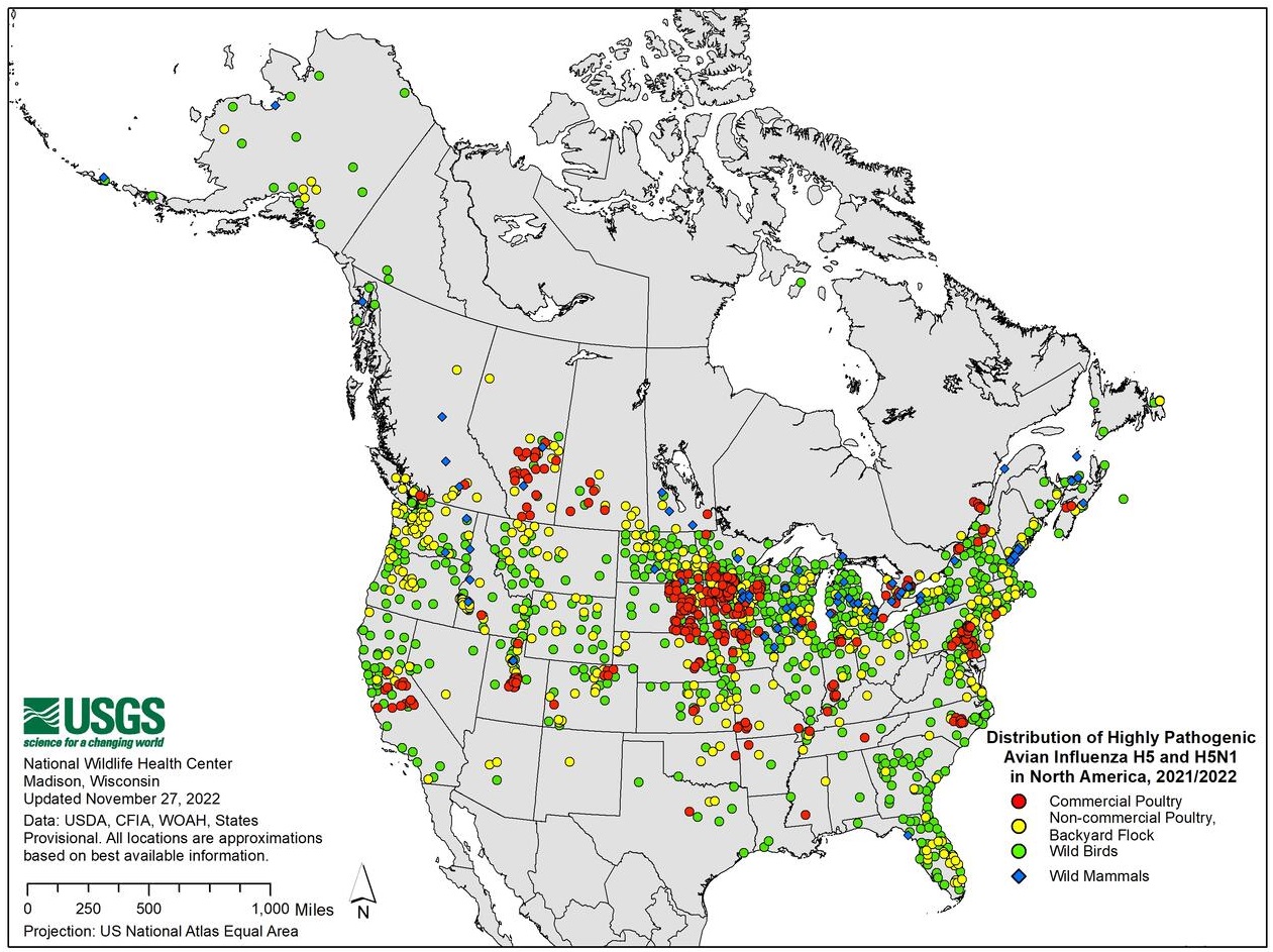 20221127 HPAI Distribution in NA  usgs.jpg