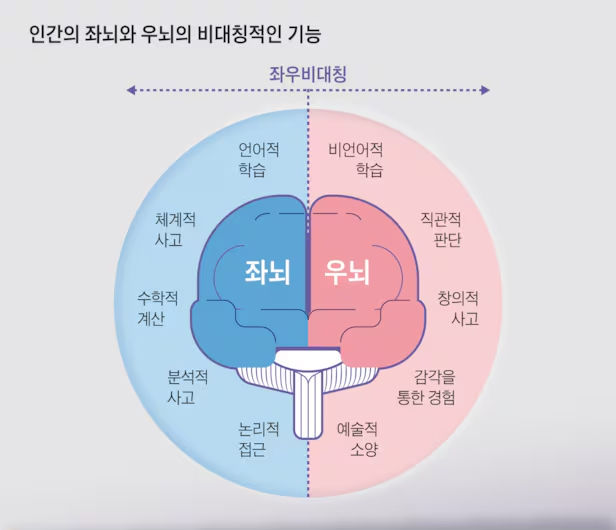 뇌.jpg