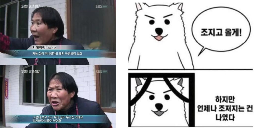 17.JPG