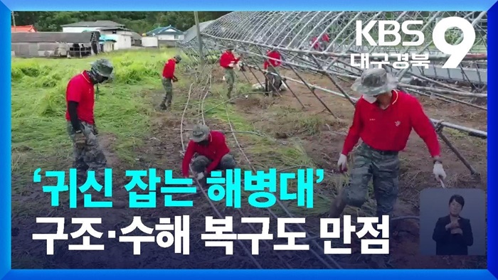 대구 경북 KBS.jpg