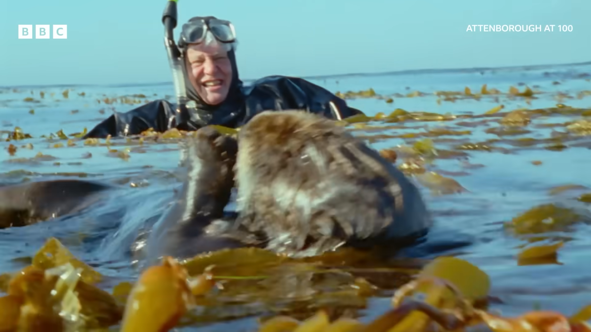 100 years of Sir David Attenborough - BBC 1-11 screenshot.png