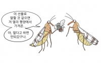 만화로 배우는 곤충의 진화14 : 곤충의 프로포즈 선물