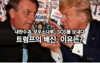 내란수괴 '보우소나루', SOS를 보내다 2(完) : 트럼프의 배신, 이유는?