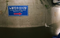 ﻿[르뽀]근육병아리의 상부상조 오마카세 : 서울 집중 호우, 물에 잠긴 노량진에 가다