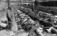 [특집]인간 이탈자 3: 한국전쟁, 나주부대의 민간인 학살