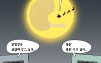 [딴지만평]메리크리스마스