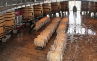 [잡식]교양으로는 쓸모있을 와인 지식 7 : 와인은 프랑스에서만 만드는 게 아니다, 아메리카 대륙편
