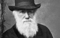 [강연]과학같은 소리하네 : 장대익 교수의 '다윈의 마지막 유혹'