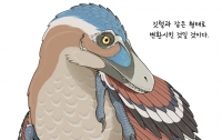 만화로 배우는 공룡의 생태 10 : 깃털의 기원