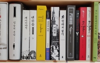 나의 그래픽 노블 탐방기 2 : 현대사의 놀라운 기록자, 작가 박건웅