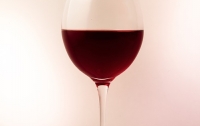 [잡식]교양으로는 쓸모있을 와인 지식 1 : 와인엔 포도가 들어간다
