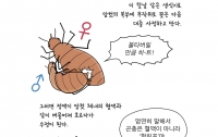 만화로 배우는 곤충의 진화15 : 곤충의 이상한 성생활