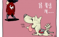 [공구의4컷]박근혜vs조선일보: 닭 쫓던 개는 짖지도 마라