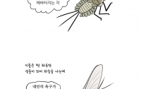 만화로 배우는 곤충의 진화13 : 원시날개의 성생활